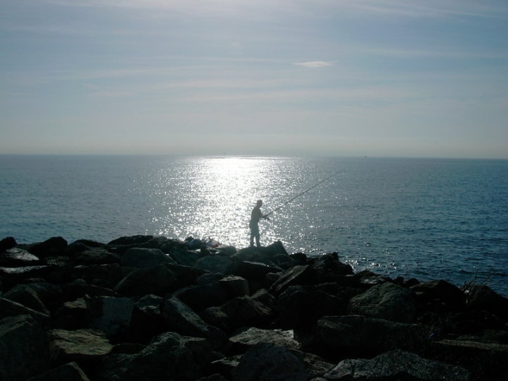 Immensità e solitudine di Zuzzerellone