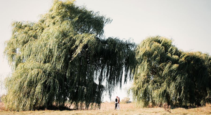 Vestuvių fotografas Zhenya Ermakov (evgenyermakov). Nuotrauka 2015 birželio 15