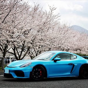 ケイマン GT4