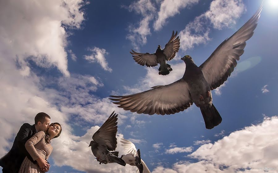 Pulmafotograaf Daniel Dumbrava (dumbrava). Foto tehtud 15 veebruar 2014