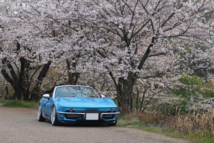 ボクスターのサクラと愛車に関するカスタム事例の投稿画像7枚目
