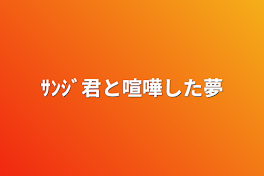 ｻﾝｼﾞ君と喧嘩した夢