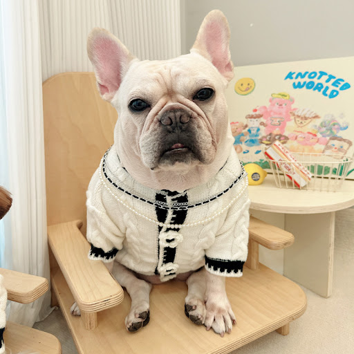 Title 5, Dog Clothes Pet Autumn And Winter Jarre Aero Bu...