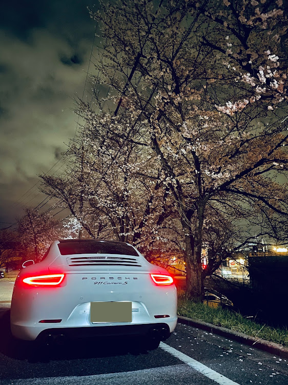 911 クーペのポルシェ911・桜・桜とコラボに関するカスタム事例の投稿画像2枚目