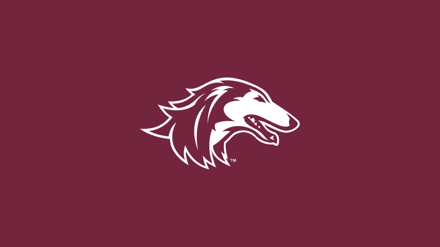 Watch Southern Illinois Salukis men's basketball live