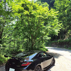 BRZ ZD8