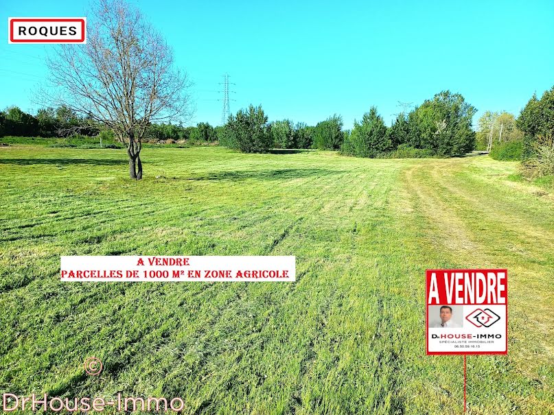 Vente terrain  1000 m² à Roques (31120), 18 000 €