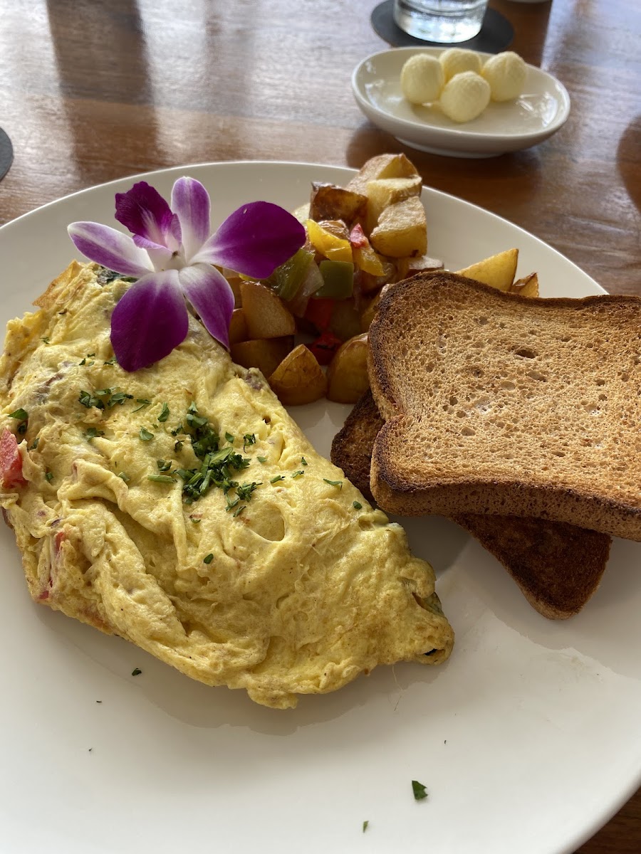 Omelet and gf toast