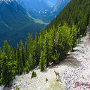 Canadian Rockies