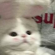 たかちゃんあいしてる