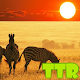 Download african sunset live wallpaper For PC Windows and Mac 1.00