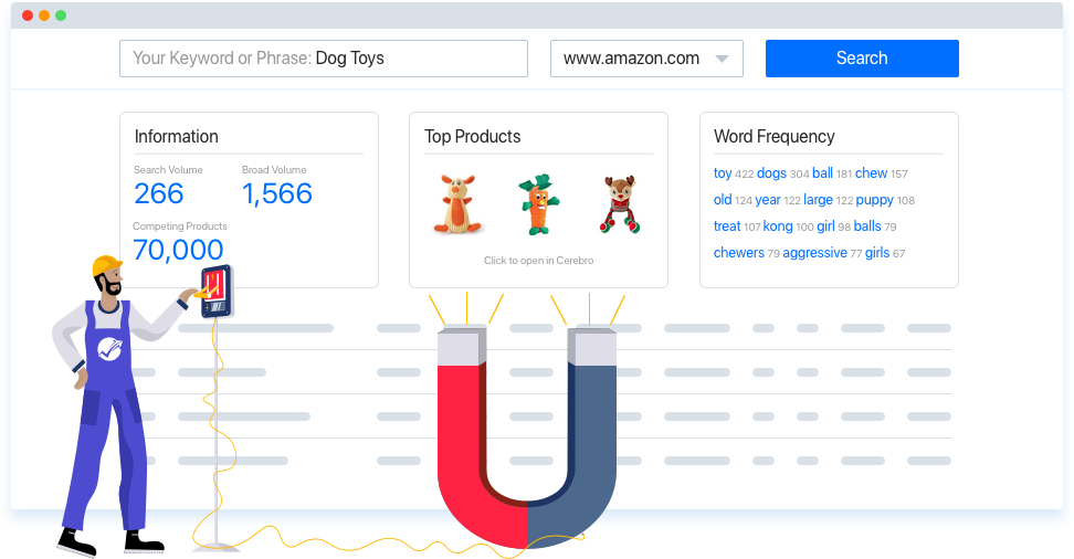 Magnet keyword tool for Amazon and Alexa SEO