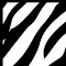 Image du logo de l'article pour ZebraZebra