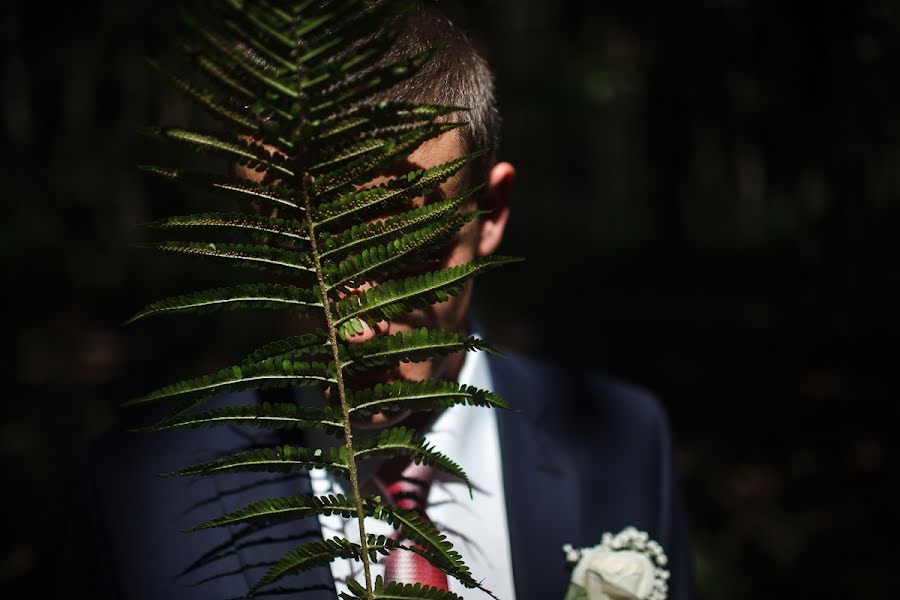 Wedding photographer Mikhail Sabello (sabello). Photo of 3 November 2015