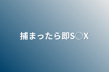 「捕まったら即S○X」のメインビジュアル