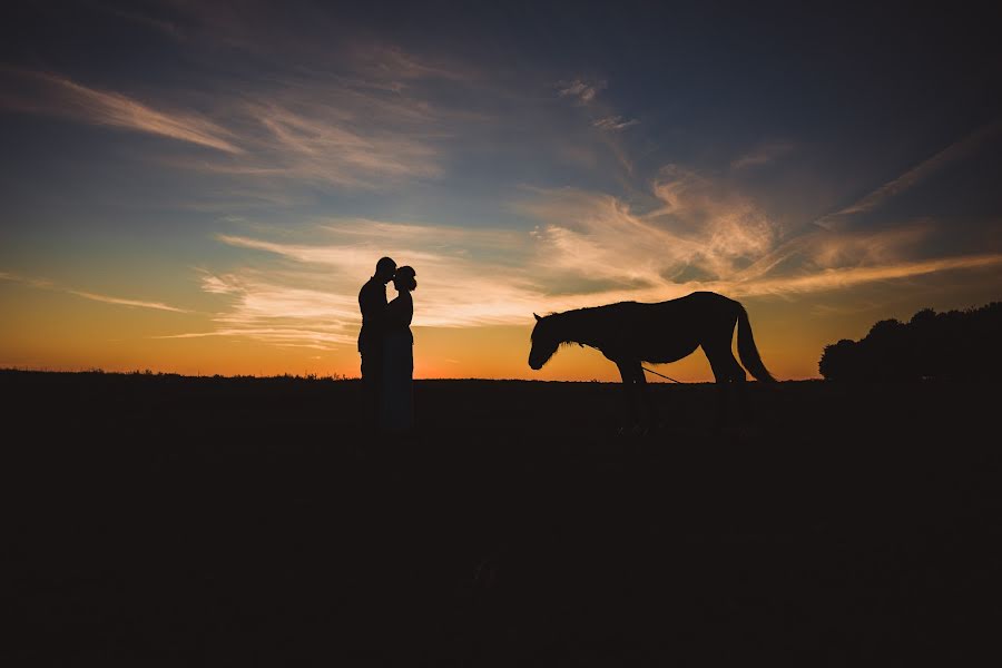 Wedding photographer Marina Vladimirska (marinasirosh). Photo of 7 March 2017