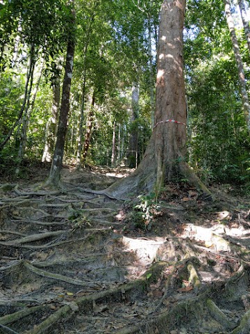 Gunung Angsi