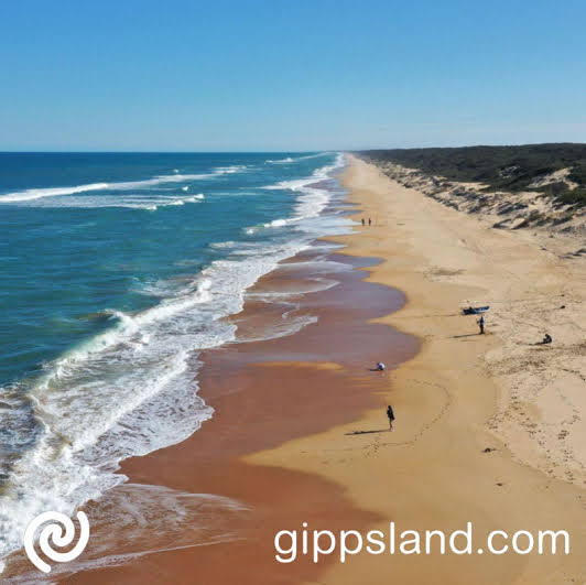 The Nationals Member for Gippsland South Danny OBrien is seeking funding to address erosion on the Loch Sport foreshore