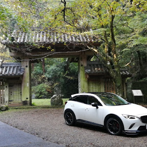 CX-3 DKEFW