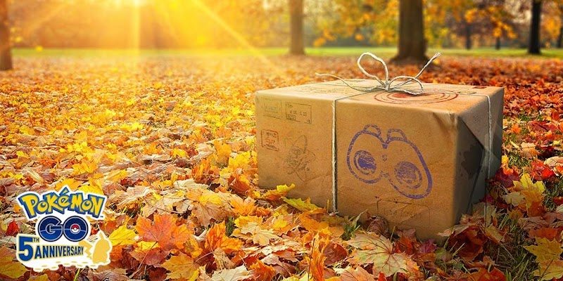 Box zum Herbst-Forschungstag