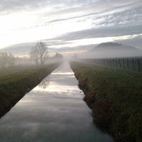 nebbia in gennaio di 