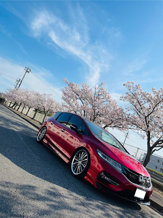 ジェイドの#JADE・#ジェイド・サクラと愛車・桜とコラボ・#カメ活に関するカスタム事例の投稿画像1枚目