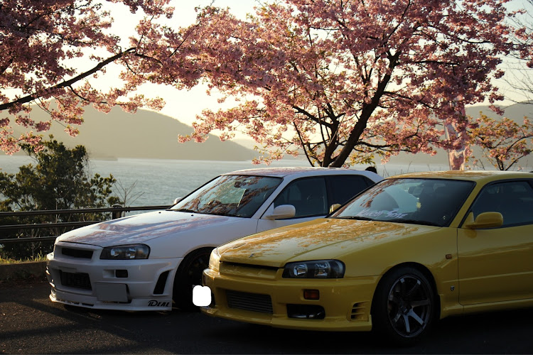 スカイラインの笠戸島・桜とコラボ・桜と愛車・ゆるオフに関するカスタム事例の投稿画像4枚目