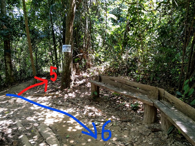 Bukit Padang Hiking Trails