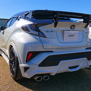 C-HR NGX50