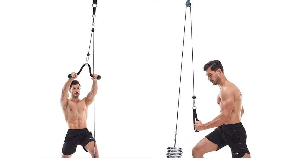 Title 5, Treinador fitness DIY completo para transformar...