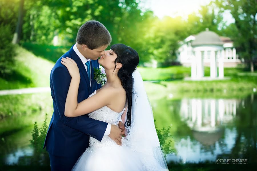 Fotografo di matrimoni Andrey Vishniveckiy (cherry). Foto del 12 aprile 2016