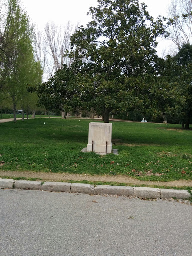 Le manchot inconnu du parc Borély