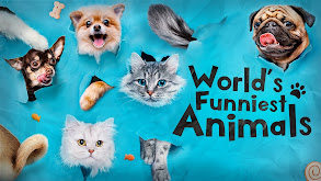 World's Funniest Animals thumbnail