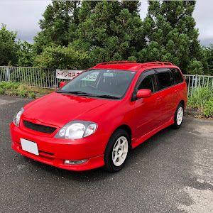 カローラフィールダー ZZE123G