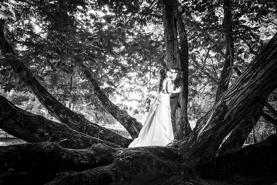 結婚式の写真家Alessandro Della Savia (dsvisuals)。2014 1月24日の写真