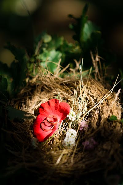 Svadobný fotograf Andrey Yaveyshis (yaveishis). Fotografia publikovaná 3. januára 2016