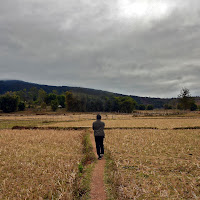 Camminando verso la fine dell'Estate di 