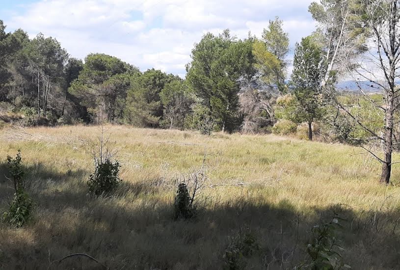  Vente Terrain agricole - 7 020m² à Pouzols-Minervois (11120) 