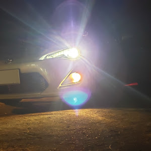 86 ZN6
