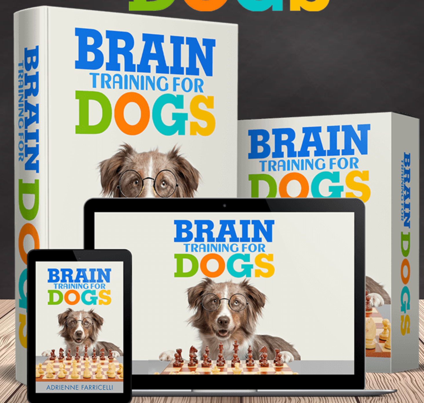 Brain Training for Dogs: Fun Exercises to Try