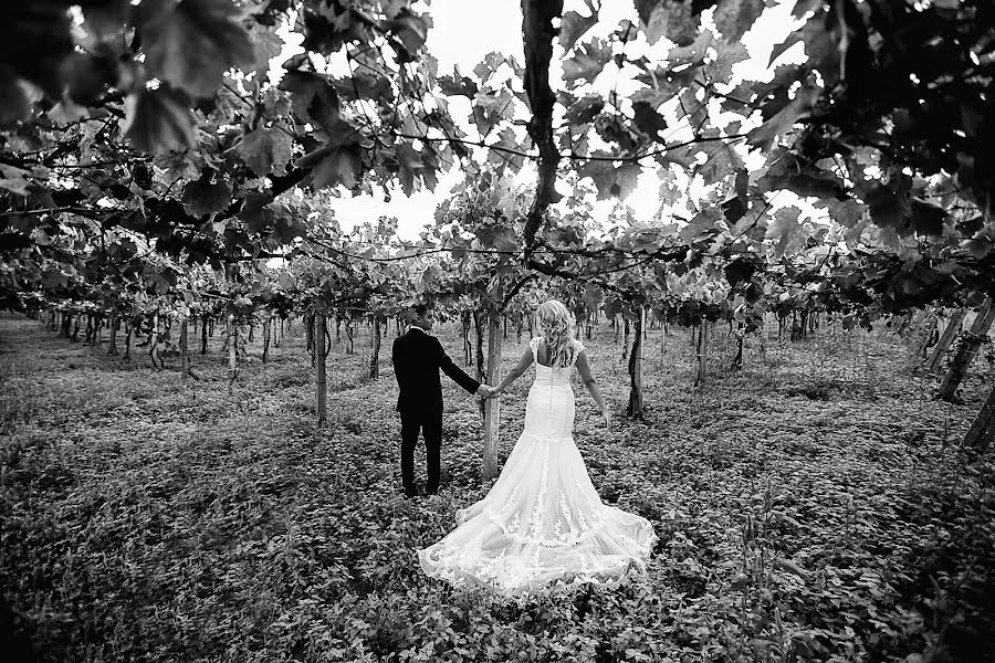 Hochzeitsfotograf Sabina Mladin (sabina). Foto vom 31. Januar 2016