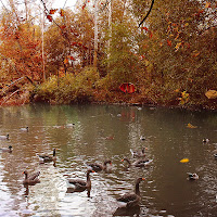 é ritornato l'autunno di 