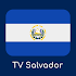 TV El Salvador0.0.4