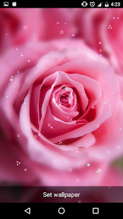 download Wallpaper Animasi Bunga Mawar free