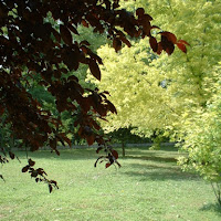 Il verde conquista la luce di 