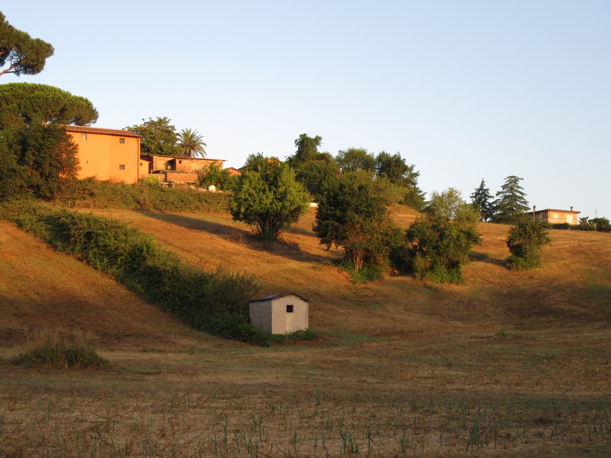 Come un quadro di Nugoro90