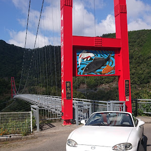 ロードスター NB8C
