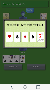  Card Game 29- screenshot thumbnail 