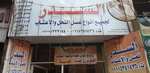 السدر