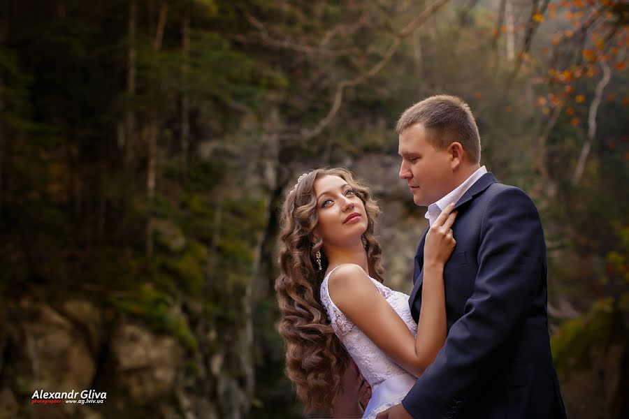 Wedding photographer Aleksandr Gliva (glivaalexandr). Photo of 11 February 2015